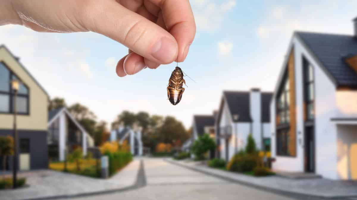 ESSENTIALS FOR BETTER HOME